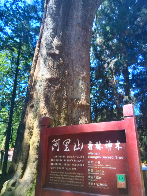 TW